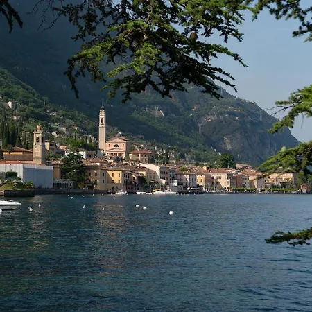 Delle Palme